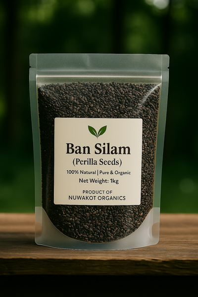 Ban Silam( बन सिलो / जङली अजवाइन)