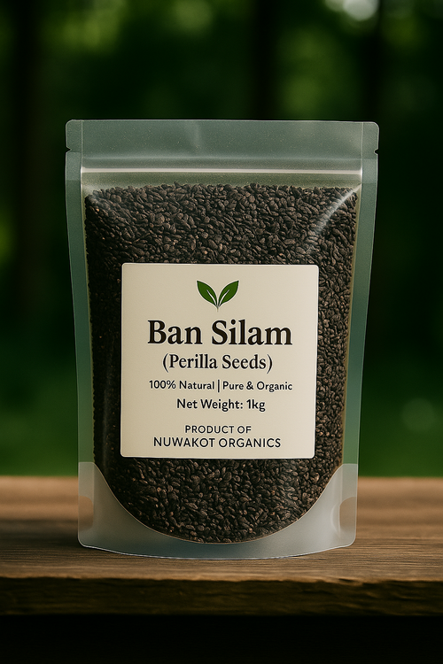 Ban Silam( बन सिलो / जङली अजवाइन)