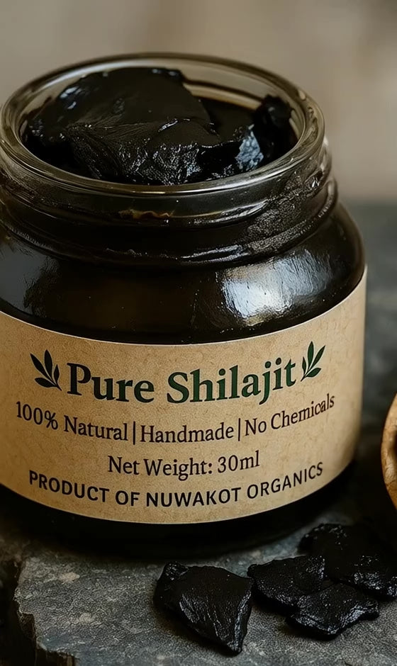 Shilajit (शिलाजीत)